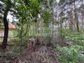 Działka budowlana 1789 m², Nowe Załubice - zdjęcie 6