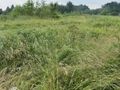 Działka budowlana 1747 m², Rączna - zdjęcie 1