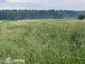 Działka budowlana 1747 m², Rączna - zdjęcie 6