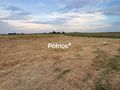 Działka rolna 8000 m², Krzewo - zdjęcie 4
