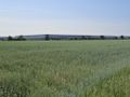 Działka inwestycyjna 11,71&nbsp;ha, Szamoty - zdjęcie 1