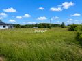 Działka rolna 3025 m², Klimki - zdjęcie 1
