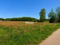 Działka budowlana 2000 m², Łapczyn - zdjęcie 2