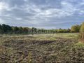 Działka budowlana 1200 m², Przypki - zdjęcie 1