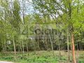 Działka budowlana 6678 m², Nadarzyn - zdjęcie 1