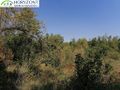 Działka budowlana 6260&nbsp;m², Sulęczyno - zdjęcie 5