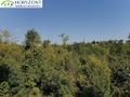 Działka budowlana 6260&nbsp;m², Sulęczyno - zdjęcie 2