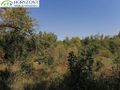 Działka budowlana 6260&nbsp;m², Sulęczyno - zdjęcie 6