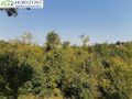Działka budowlana 6260&nbsp;m², Sulęczyno - zdjęcie 3