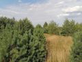 Działka budowlana 1011 m², Koleczkowo - zdjęcie 2
