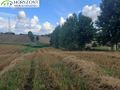 Działka budowlana 1,22 ha, Grabowska Huta - zdjęcie 6