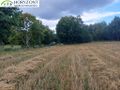 Działka budowlana 1,22 ha, Grabowska Huta - zdjęcie 5