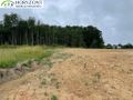 Działka budowlana 1410 m², Skrzeszewo - zdjęcie 5