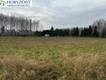 Działka budowlana 1650&nbsp;m², Lisewiec - zdjęcie 3