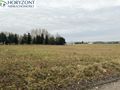 Działka budowlana 1650&nbsp;m², Lisewiec - zdjęcie 1