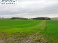 Działka budowlana 1222 m², Borcz - zdjęcie 2