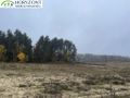 Działka budowlana 1500 m², Kamień - zdjęcie 3