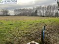 Działka budowlana 3300 m², Lisewiec - zdjęcie 1