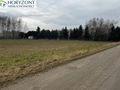 Działka budowlana 3300 m², Lisewiec - zdjęcie 5