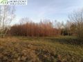 Działka budowlana 3623&nbsp;m², Szarłata - zdjęcie 4