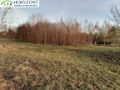 Działka budowlana 3623&nbsp;m², Szarłata - zdjęcie 6