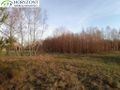 Działka budowlana 3623&nbsp;m², Szarłata - zdjęcie 5