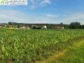Działka budowlana 3000 m², Niestępowo - zdjęcie 1
