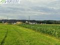 Działka budowlana 3000 m², Niestępowo - zdjęcie 2