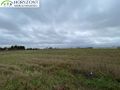 Działka budowlana 958 m², Tokary - zdjęcie 5