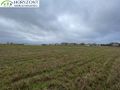 Działka budowlana 1504 m², Tokary - zdjęcie 4