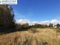 Działka budowlana 2658 m², Czaple - zdjęcie 5