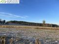 Działka budowlana 1030&nbsp;m², Bojano - zdjęcie 4