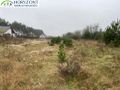 Działka budowlana 1290 m², Bojano - zdjęcie 1