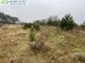 Działka budowlana 1290 m², Bojano - zdjęcie 2