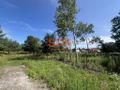 Działka budowlana 976&nbsp;m², Trzebnica, Sosnowa - zdjęcie 5