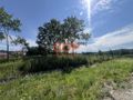 Działka budowlana 976&nbsp;m², Trzebnica, Sosnowa - zdjęcie 3