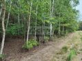 Działka budowlana 1706 m², Wólka - zdjęcie 4