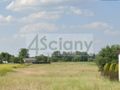 Działka budowlana 1000 m², Dębe Wielkie - zdjęcie 2