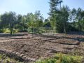 Działka budowlana 1500 m², Radonie - zdjęcie 2