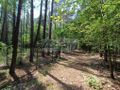 Działka rolna 1666 m², Siestrzeń - zdjęcie 3