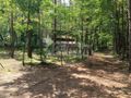 Działka rolna 1666 m², Siestrzeń - zdjęcie 4