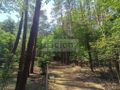 Działka rolna 1666 m², Siestrzeń - zdjęcie 1