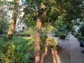 Mieszkanie 48 m², Warszawa, Bielany, Przytyk - zdjęcie 2