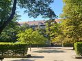 Prawdziwa perełka dla Konesera pięknych miejsc we Wrocławiu - zdjęcie 3