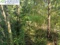 Działka budowlana 954 m², Borzestowo - zdjęcie 4