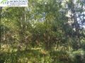 Działka budowlana 954 m², Borzestowo - zdjęcie 6