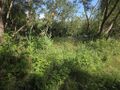 W atrakcyjnej okolicy działka rekreacyjna do sprzedania - zdjęcie 4