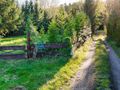 Nadole|Działka 1025m2|Blisko jeziora - zdjęcie 3