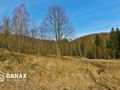 Działka inwestycyjna 4555&nbsp;m², Juszczyn - zdjęcie 3