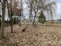Działka budowlana 3952 m², Rusiec - zdjęcie 2